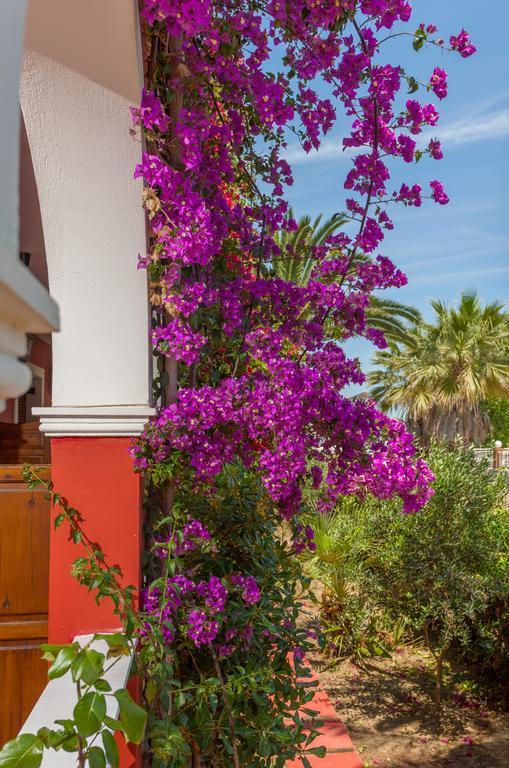 Tropical Studios Laganas Exterior photo